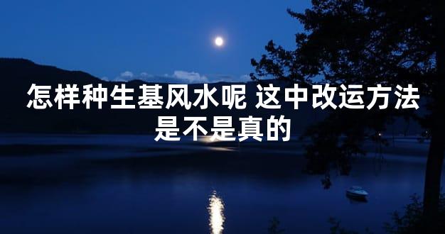 怎样种生基风水呢 这中改运方法是不是真的